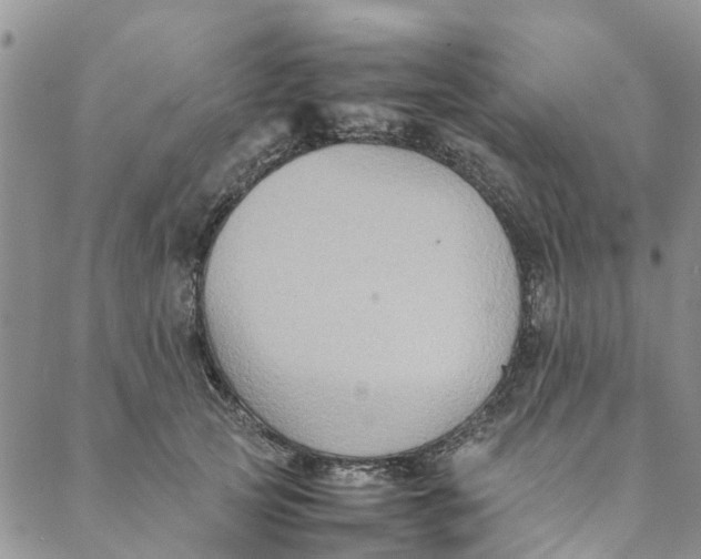 X0000088400753200706121234