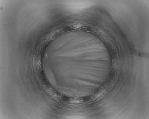 X0000088400754200706121235