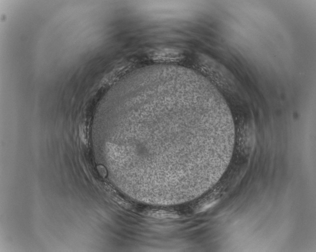 X0000088400755200706121235