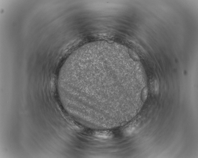 X0000088400757200706121235