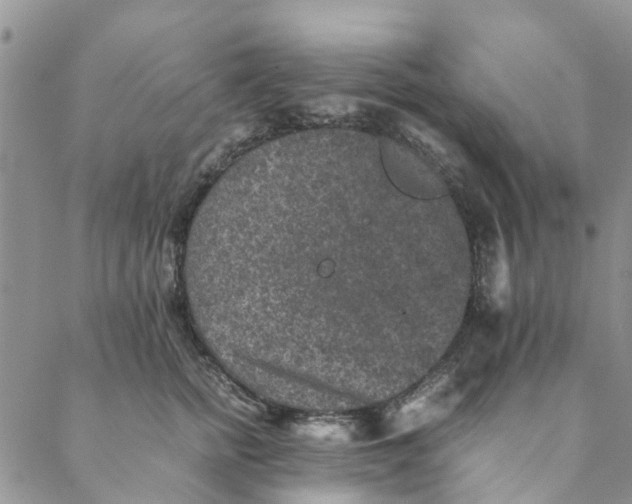 X0000088400758200706121235