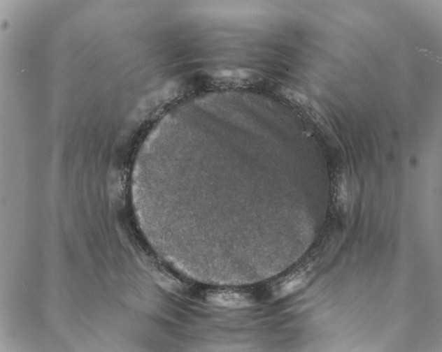 X0000088400759200706121235