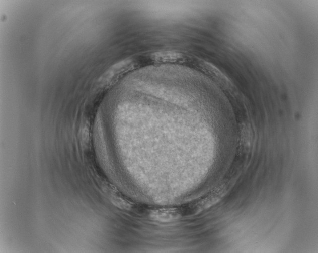 X0000088400761200706121235