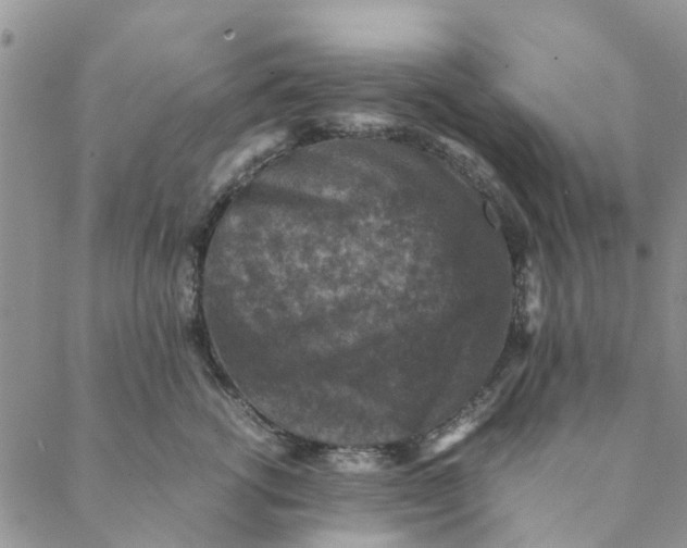 X0000088400762200706121235