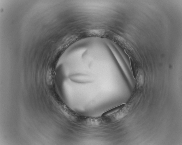 X0000088400764200706121235