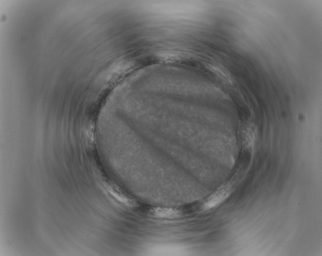 X0000088400766200706121235