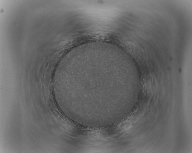 X0000088400769200706121234