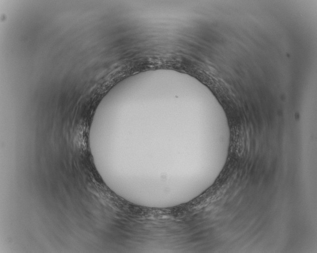 X0000088400770200706121234