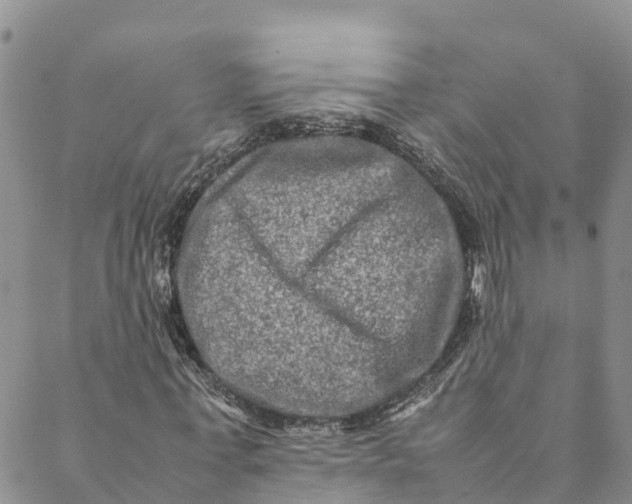 X0000088400771200706121234