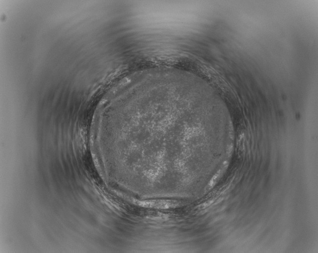 X0000088400772200706121234