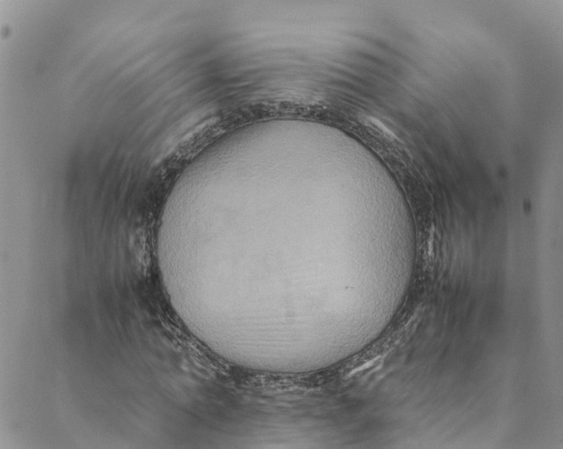 X0000088400774200706121234