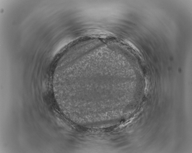 X0000088400775200706121234