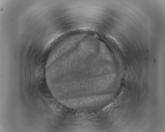 X0000088400776200706121234