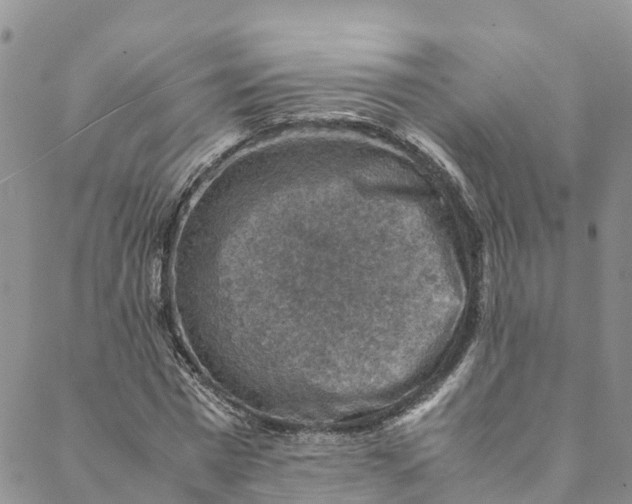 X0000088400777200706121234