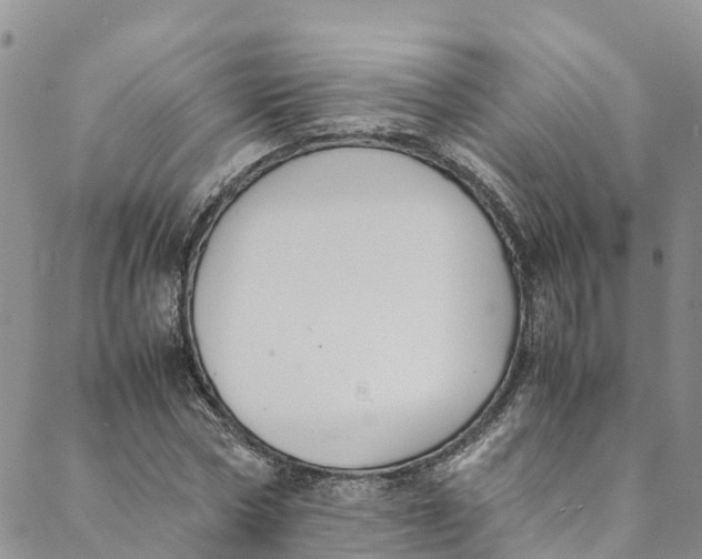 X0000088400778200706121234