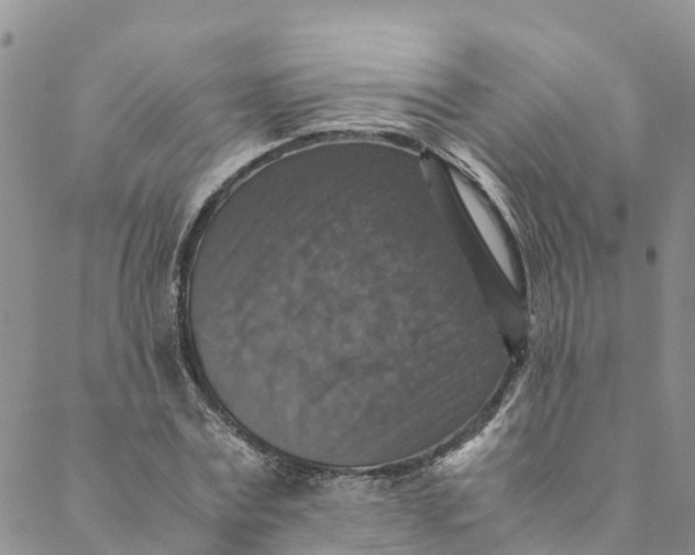 X0000088400779200706121234