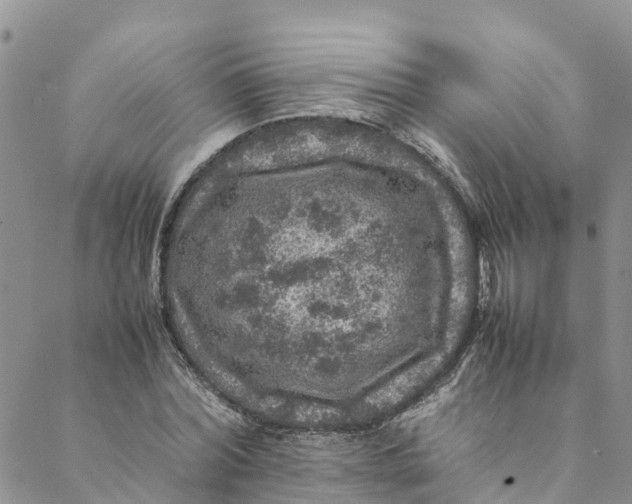 X0000088400780200706121234