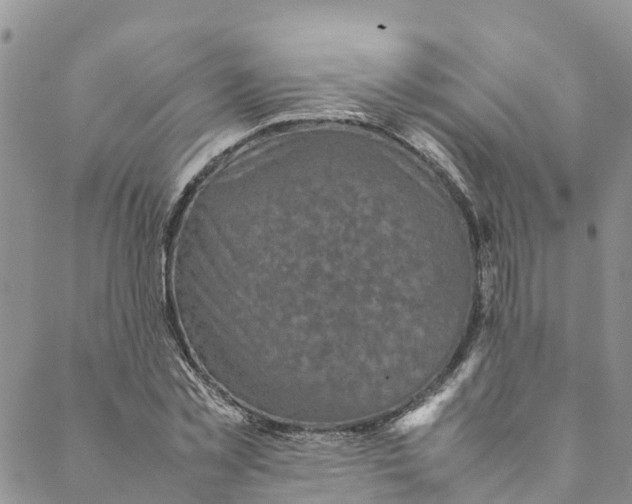 X0000088400781200706121234