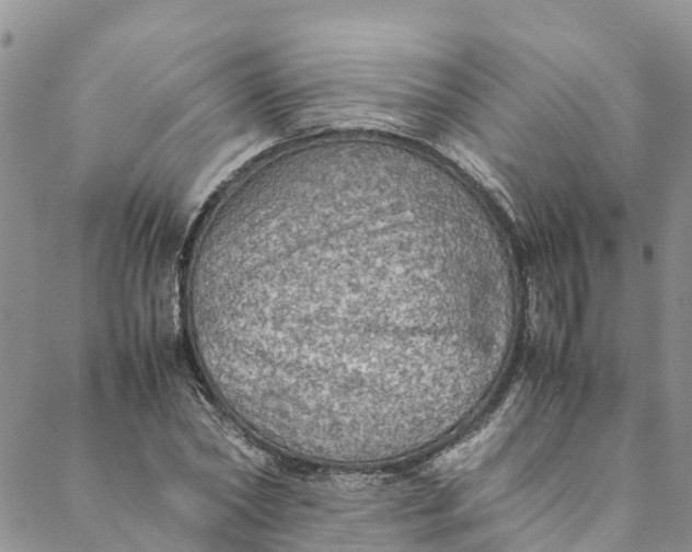 X0000088400782200706121234