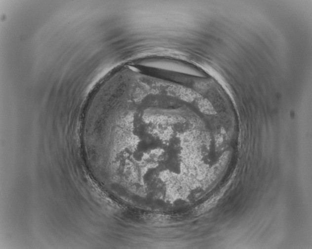 X0000088400783200706121234