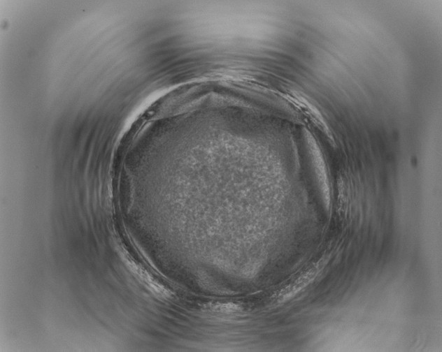 X0000088400784200706121234