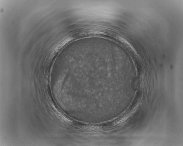 X0000088400785200706121234