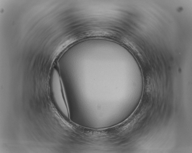 X0000088400786200706121234