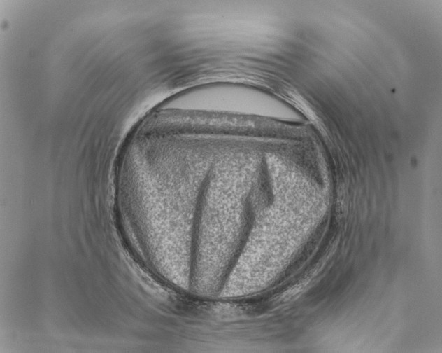 X0000088400787200706121234