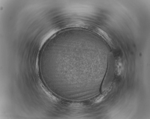 X0000088400788200706121234