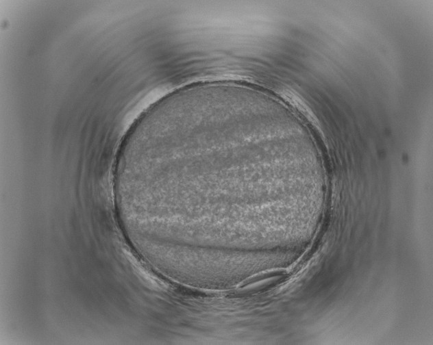 X0000088400789200706121234