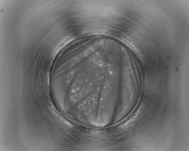 X0000088400790200706121234