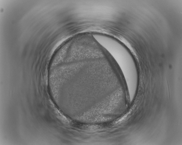 X0000088400791200706121234