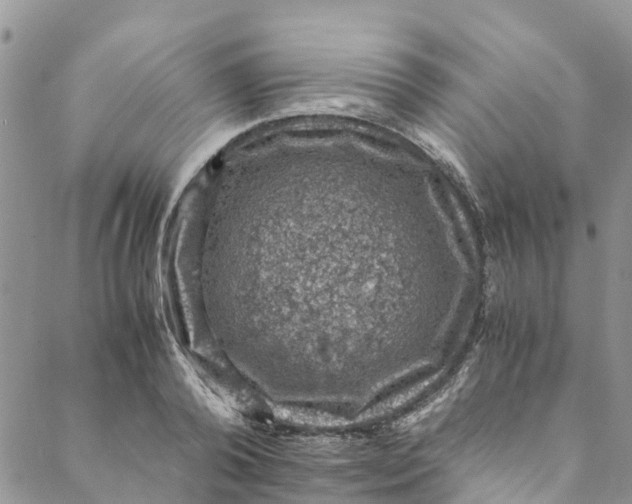 X0000088400792200706121234