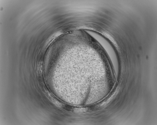 X0000088400793200706121234