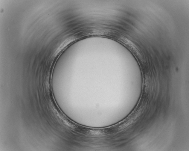 X0000088400794200706121234