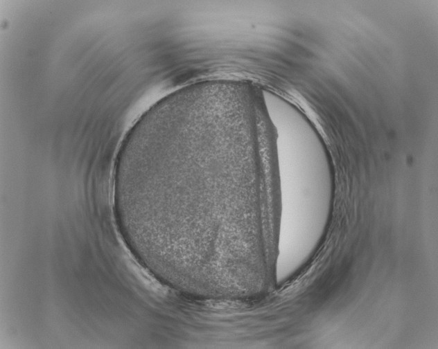 X0000088400795200706121234