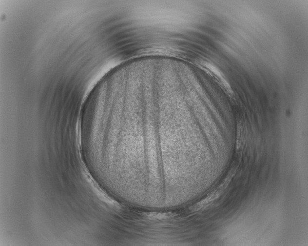 X0000088400796200706121234