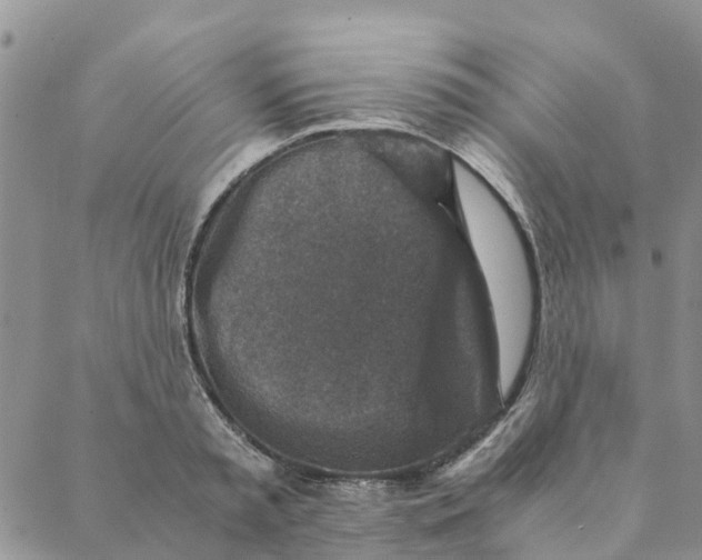 X0000088400797200706121234