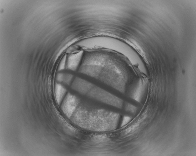 X0000088400798200706121233