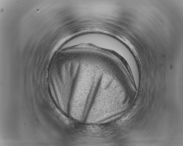 X0000088400799200706121233