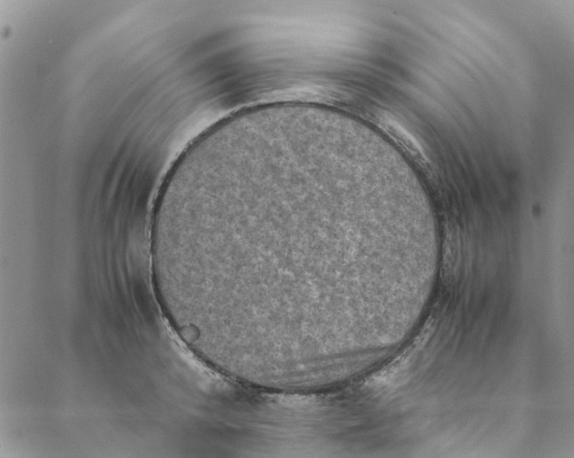 X0000088400800200706121233