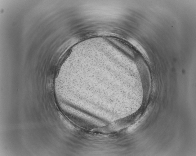 X0000088400801200706121233