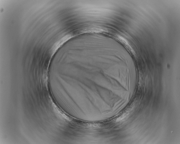 X0000088400802200706121233