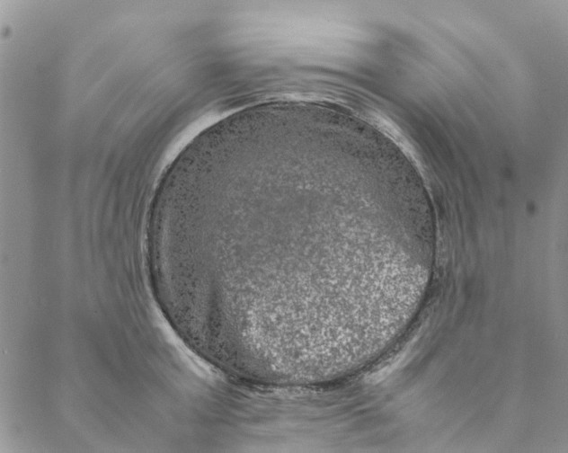 X0000088400803200706121233