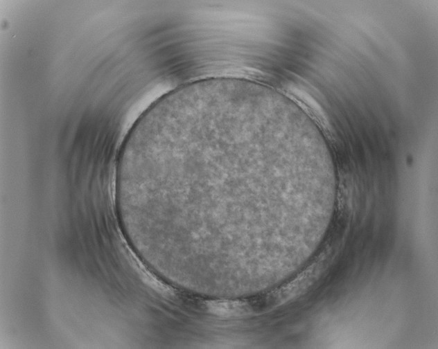 X0000088400804200706121233