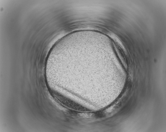 X0000088400805200706121233