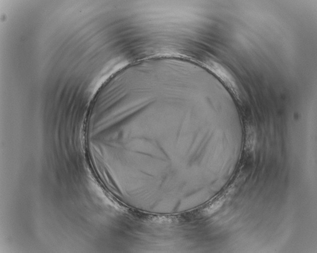 X0000088400806200706121233