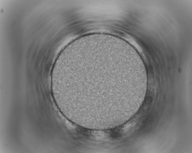 X0000088400807200706121233