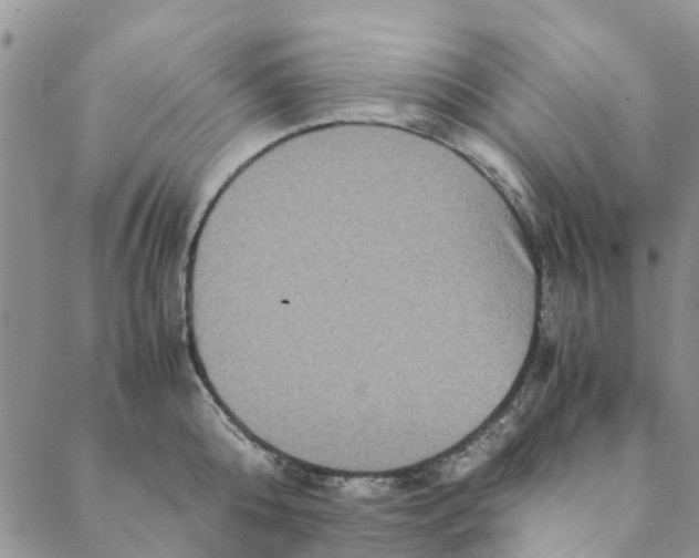 X0000088400808200706121233