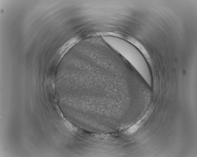 X0000088400809200706121233